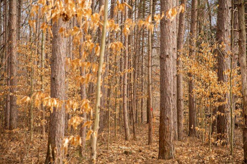 8 marked property lines