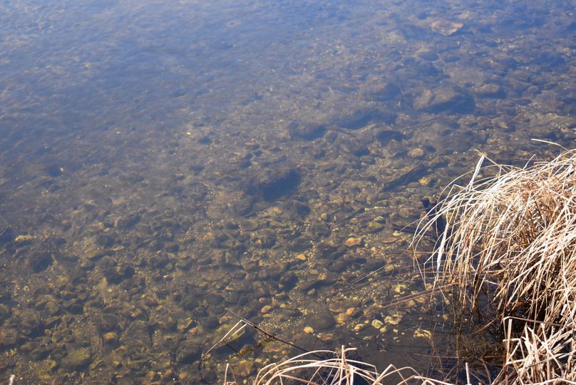 63 clear and cool wolf creek