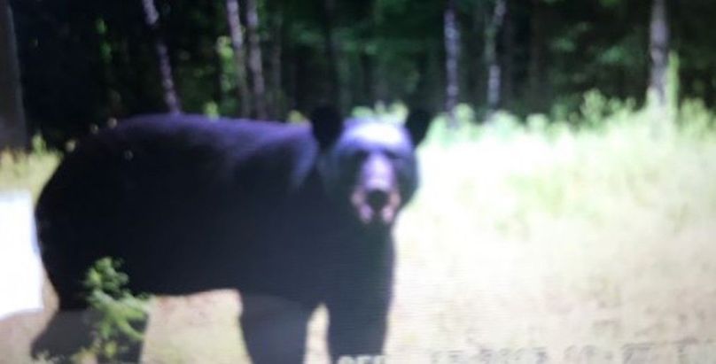 Screenshot 2021-03-21 184259