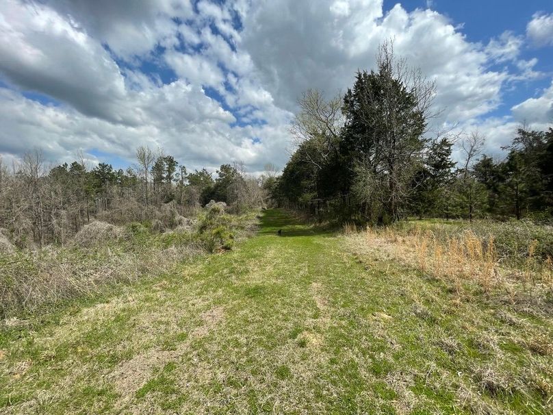 A70879c0-b722-4fca-8376-ad896825fd9e 1 105 c