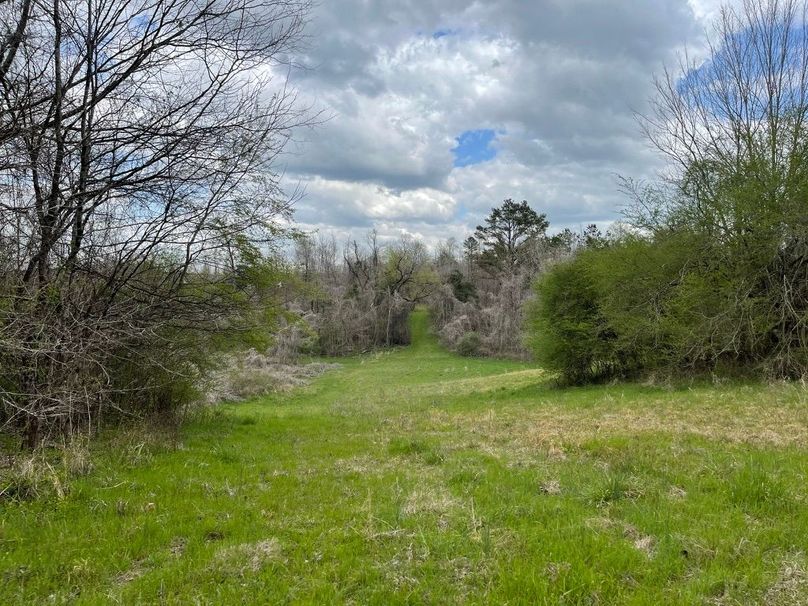 A87f40e4-18c6-4533-8872-d988c7df1ad0 1 105 c