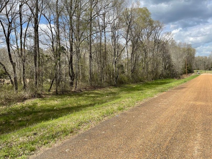 A2cff34e-09c6-4bf5-8fde-9d20e12c96a9 1 105 c