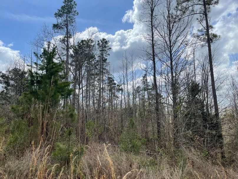 B3a043dd-4cd4-44f2-be5b-9bf68b0bd7dd 1 105 c