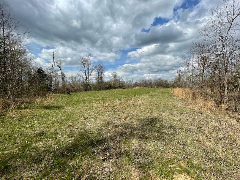 Bfab3b7d-9b42-472b-ad1a-eee71ce08ff9 1 105 c