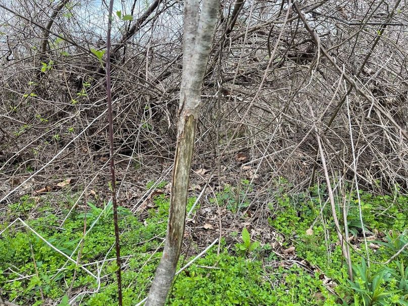 Bfebae38-9cb6-4eff-8724-17ae18f7e716 1 105 c