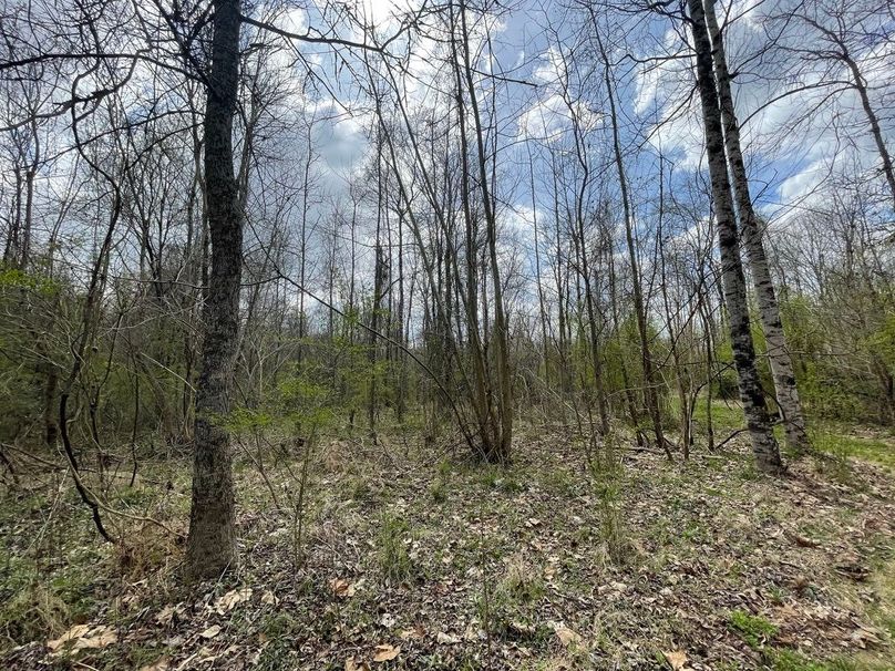 C5c0d703-16b0-44f8-9e40-6e6c53343359 1 105 c