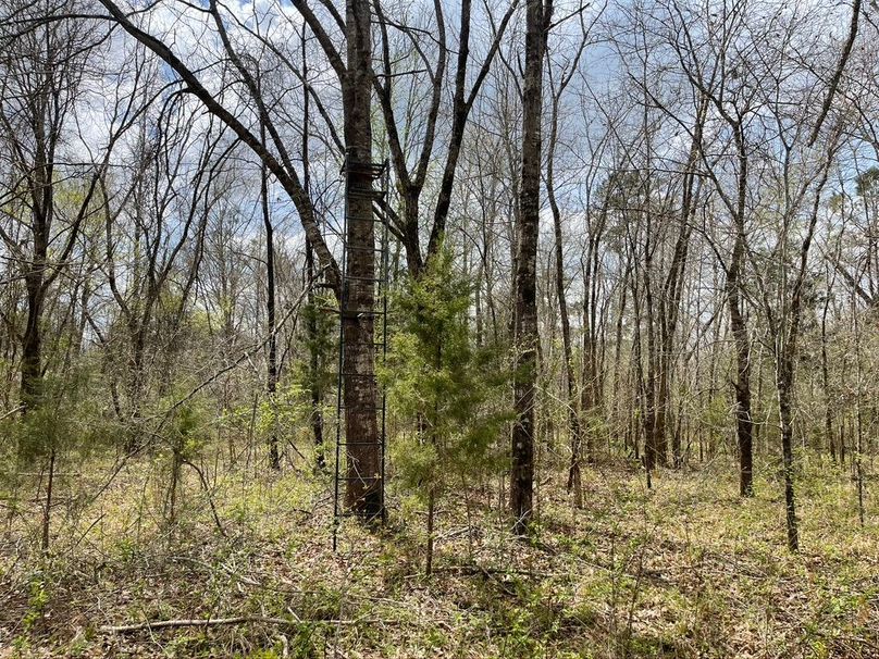 C277da39-9979-498b-86e3-8a3731ed4ec9 1 105 c