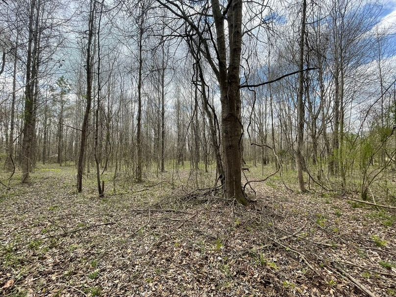 Ce14e578-2838-4d4f-8b5c-66ccbe8ad585 1 105 c