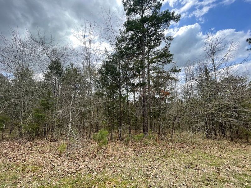 Cff468ee-4d33-48be-af31-75e8de27c967 1 105 c