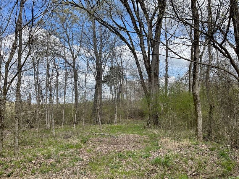 D2884ebd-4765-4746-97cb-9904a3352819 1 105 c