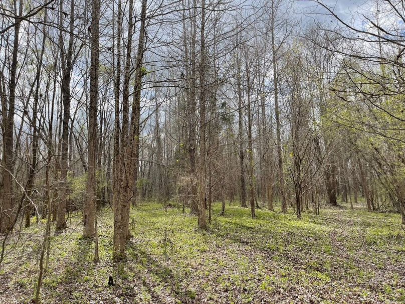 Db016b6d-4fe1-481c-a977-98d6c5e50fd0 1 105 c