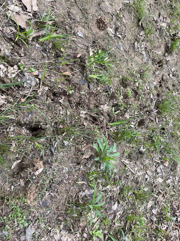 Dd3e4243-a806-4cfc-8246-64d18f4861f9 1 105 c