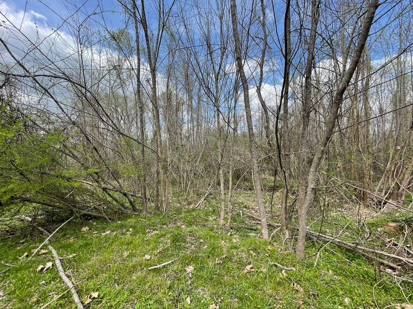 E7105838-05d6-4cc4-bb67-7926679df9bb 1 105 c