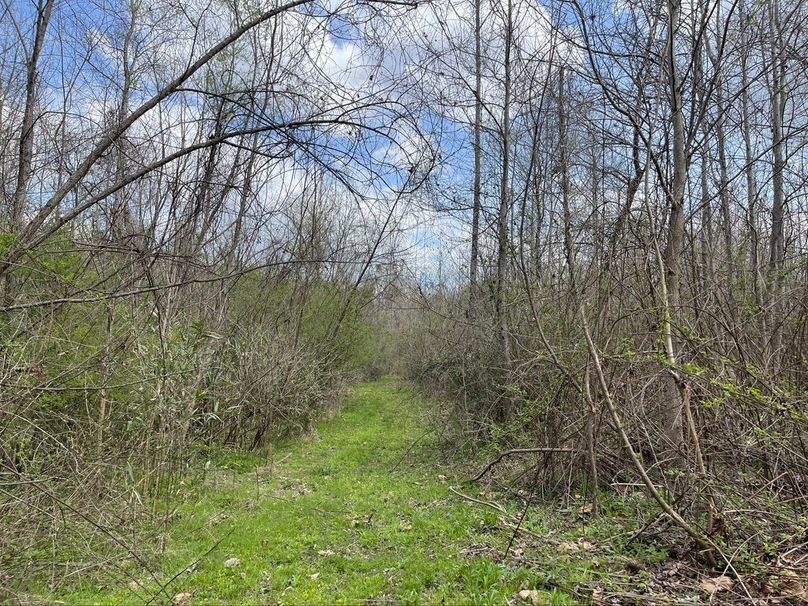 F0185559-afd8-41ee-bebc-f5cdb8ed6fb7 1 105 c