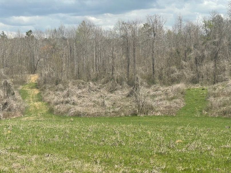 F3f58b20-813d-4d8f-98cc-4eea6ad7ce1f 1 105 c