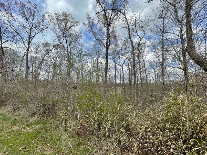 076b8995-72eb-487d-a899-983a4b008a38 1 105 c