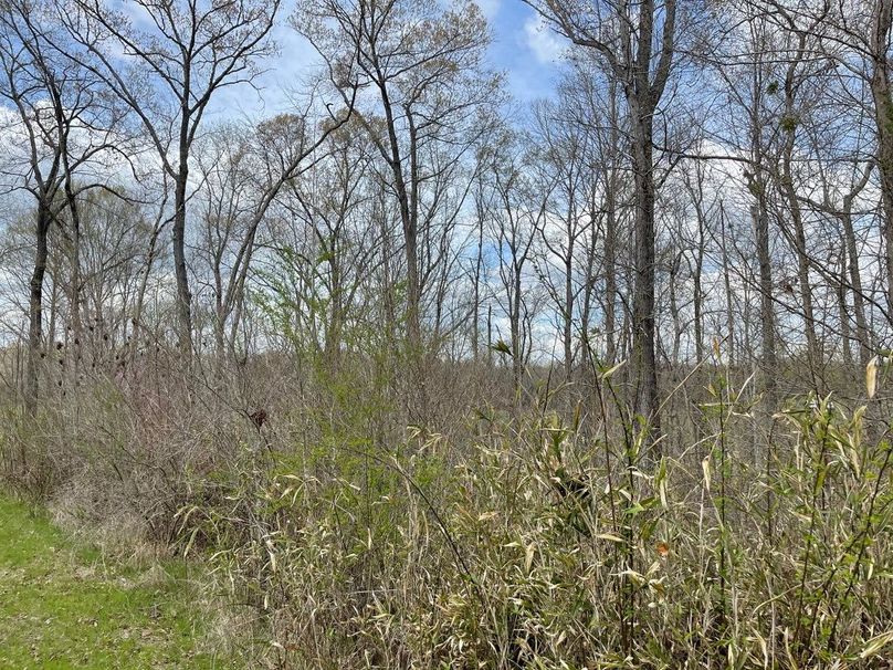 101752ed-b0ce-4f91-b6b2-a908c230a524 1 105 c