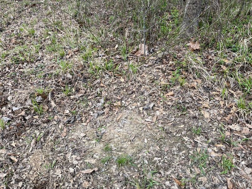 1fe973e6-7377-404b-93bf-4dd02f532e82 1 105 c