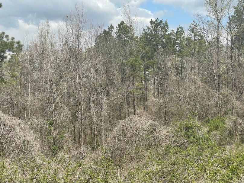 2dd49d3d-0edb-4485-86da-d8d104c88cc6 1 105 c