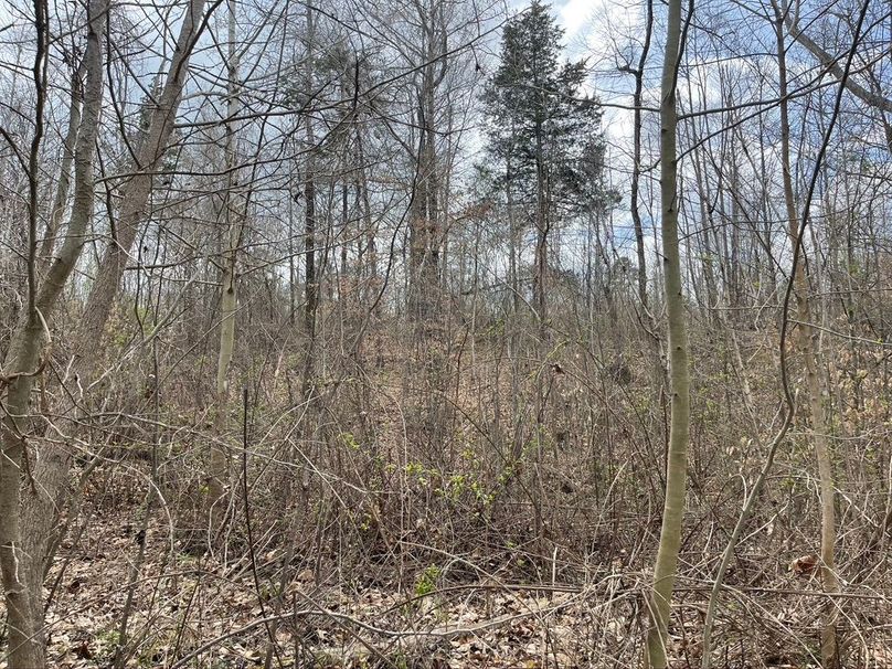 374fabc2-42ed-4d7e-afd1-e1b011f8cbb5 1 105 c