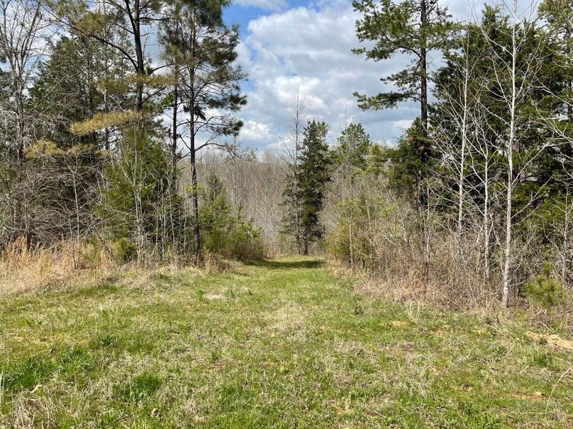 33a923a9-80c1-4698-b1ee-f66264db2158 1 105 c