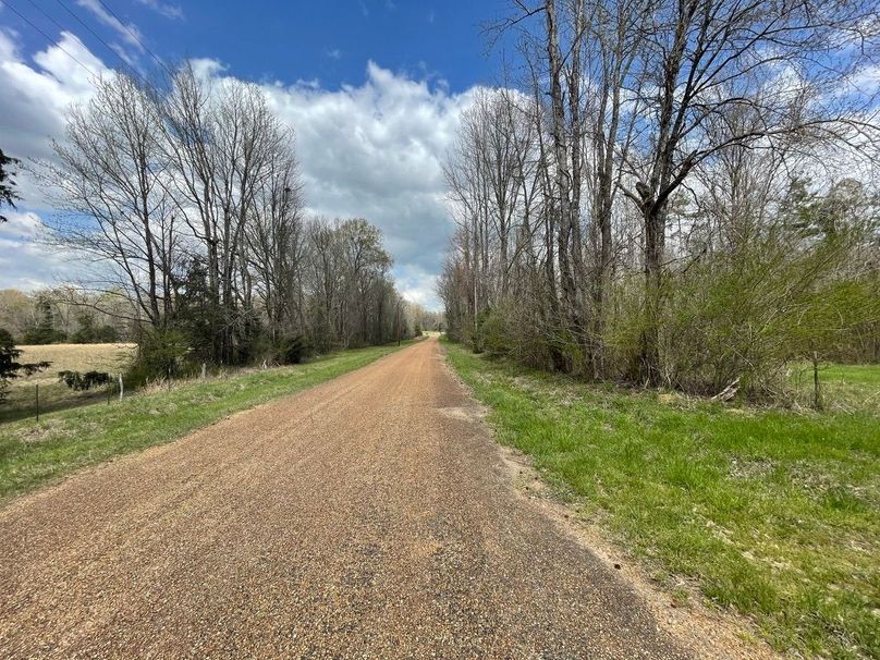 3bc32ed8-28f5-4e8b-8d5c-66774d48625b 1 105 c