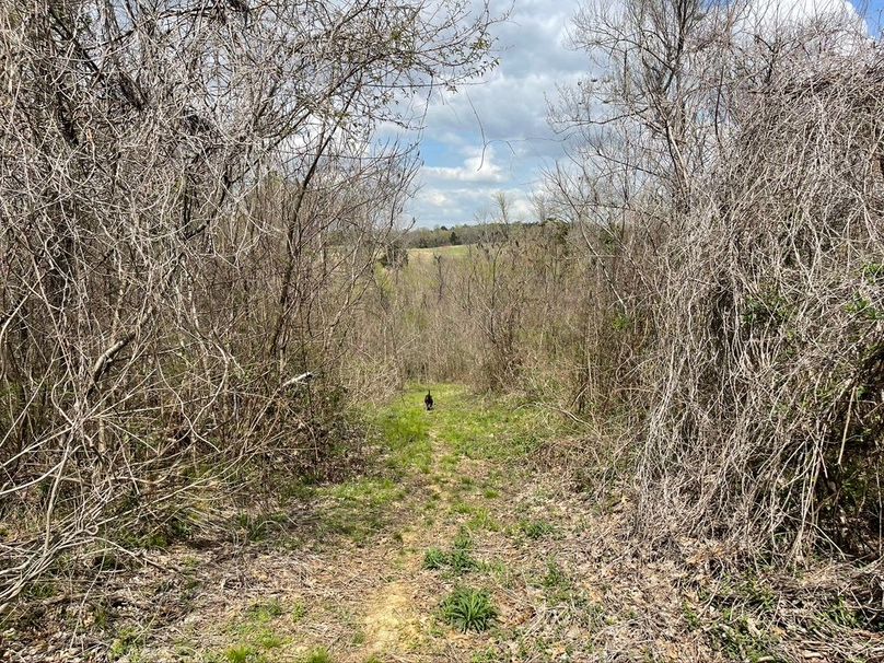 43ffd457-2db9-466b-881c-c8b4e1855480 1 105 c