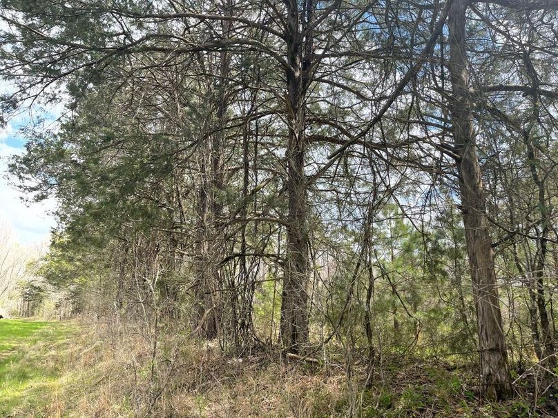 5737ae25-97db-4822-8c8b-01f7f4baf4a2 1 105 c