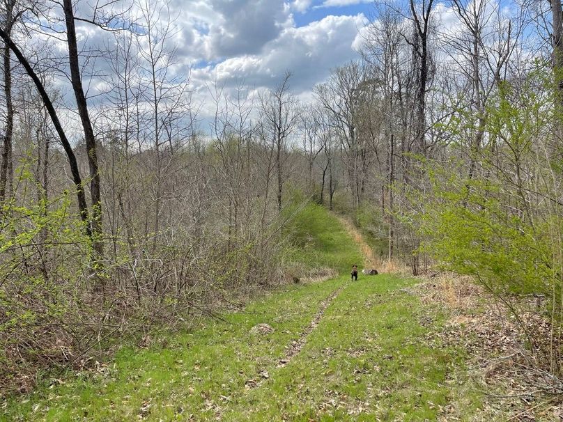 5272bd3d-e972-4e59-90d9-9f73488a8b44 1 105 c