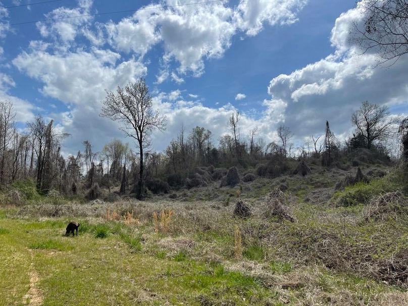 5315bb5e-e7d0-457a-a9ef-e61510cf573c 1 105 c