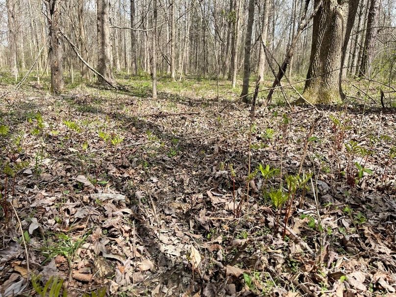 693a351e-edc0-4f43-962f-d828825d4fe2 1 105 c