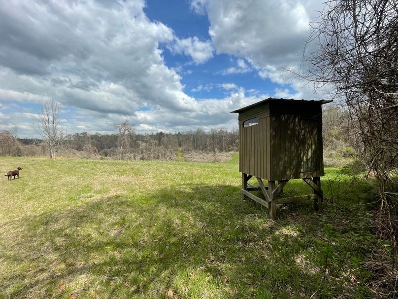 60f37906-68d0-4e69-8737-53d5636ea795 1 105 c