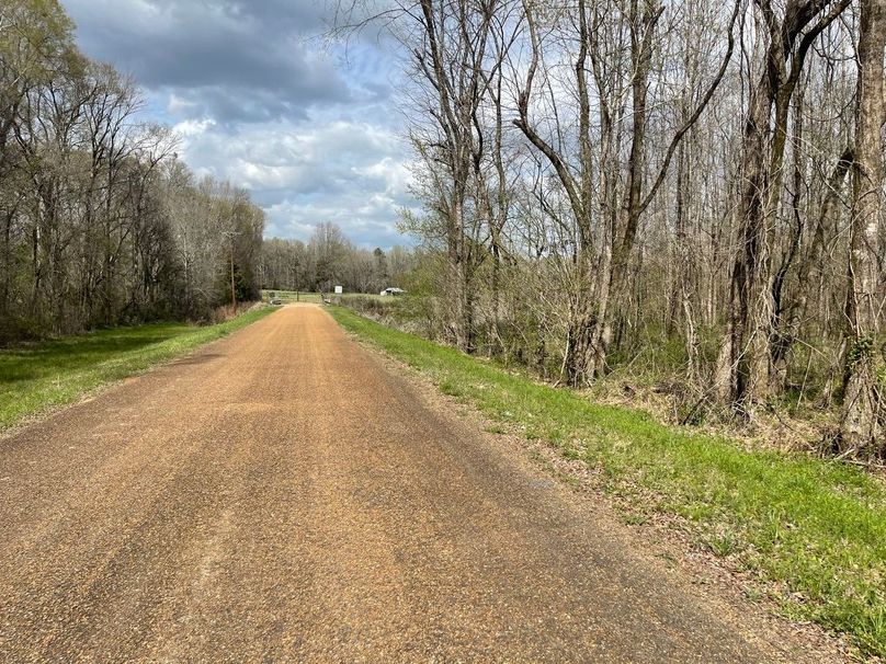 6af31394-5109-4c28-b50d-908694bdf7b5 1 105 c