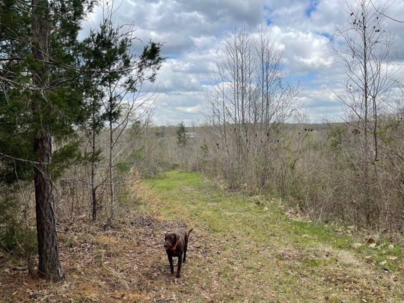 6bf30091-23b6-440f-9d21-f1b5c0e39469 1 105 c