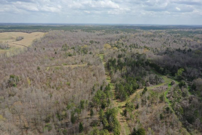 77906223-eb6a-4f9a-b49a-17f2aadca76a 1 105 c