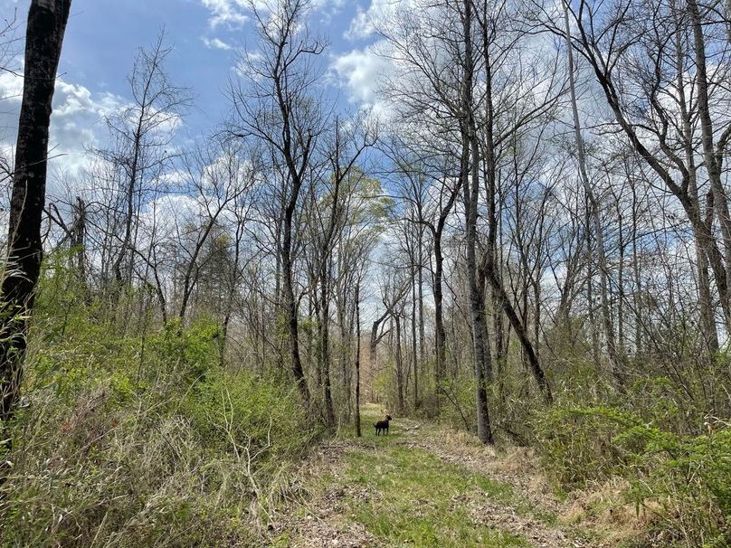 78bd14ce-c74b-462f-ba1e-3eccbe856414 1 105 c