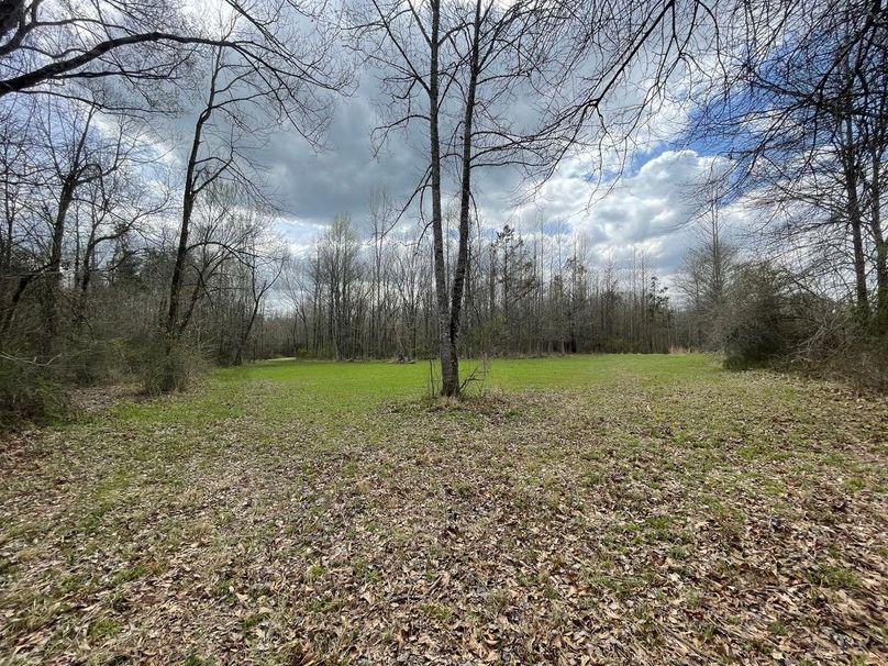 9502359f-15e5-4c21-bee5-c4cd5295670d 1 105 c