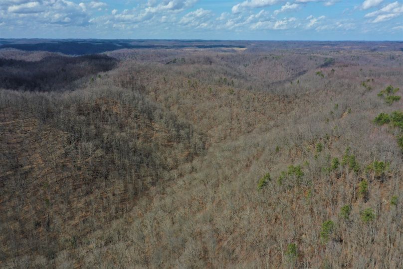 003 aerial drone shot from the middle of the property looking to the north