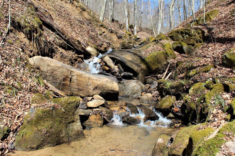 001 beautiful mountain stream flowing through the middle of the property