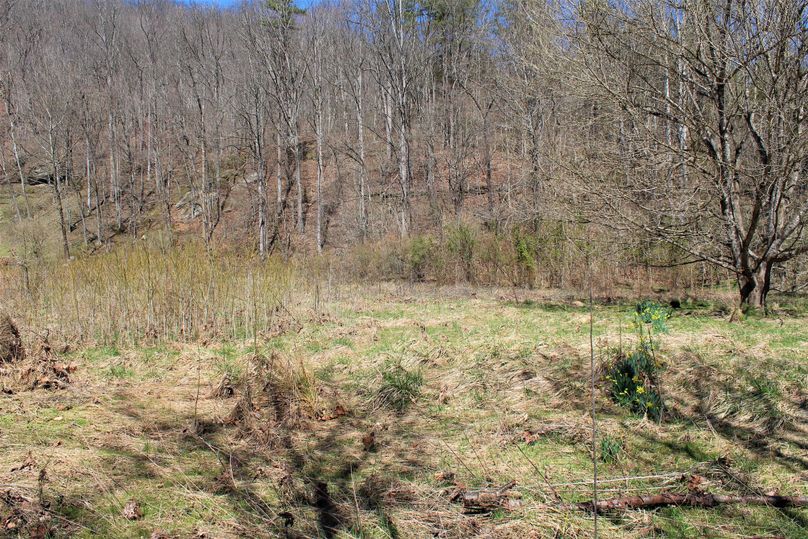 007 open bottom land lot along ky 542