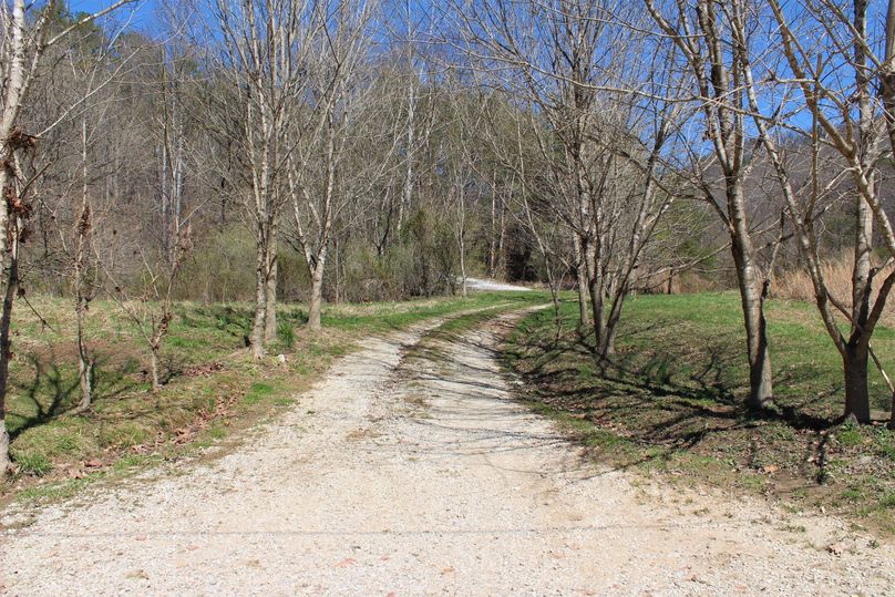 004 driveway leaving the blacktop off of ky 542