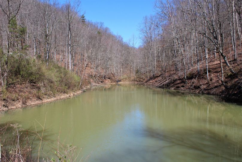 005 gorgeous 1 2 acre pond adjacent to the home
