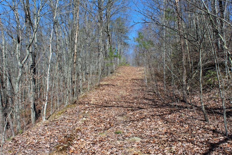 009 nice network of open roads