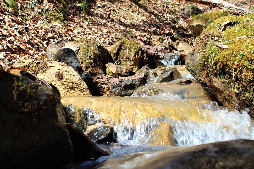 011 gorgeous clear mountain stream stream