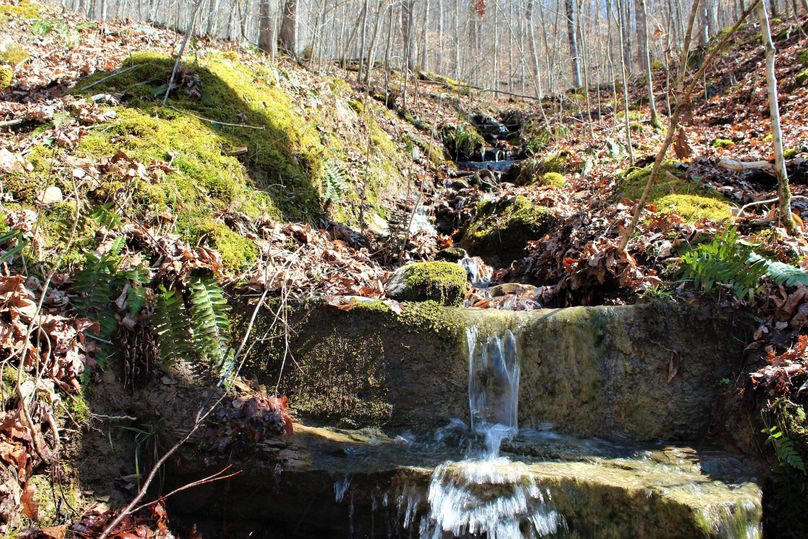 017 small seasonal feeder stream on a west facing slope