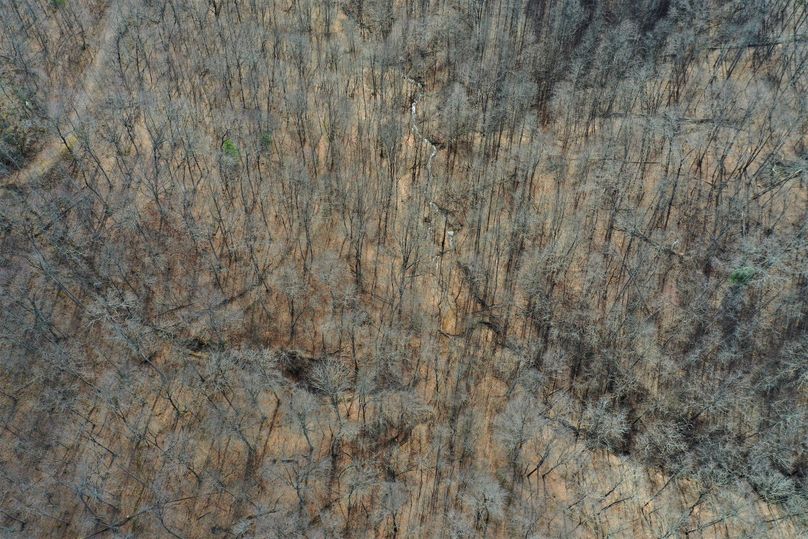 019 look closely as you can see the origin of the main stream in the upper reaches of the property