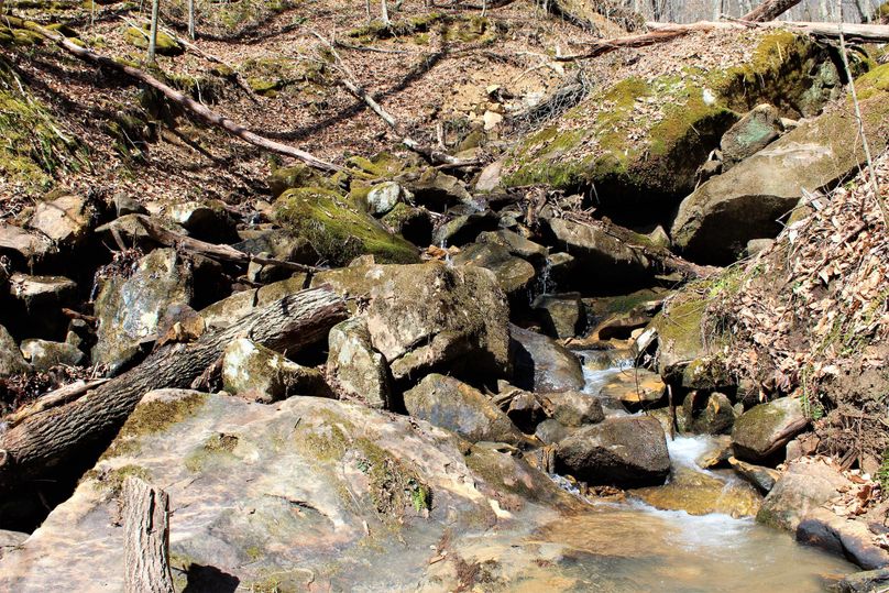 022 the main valley stream tumbling over the rocks