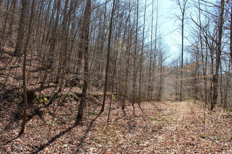 030 one of the many network of roads leading to the north end of the property