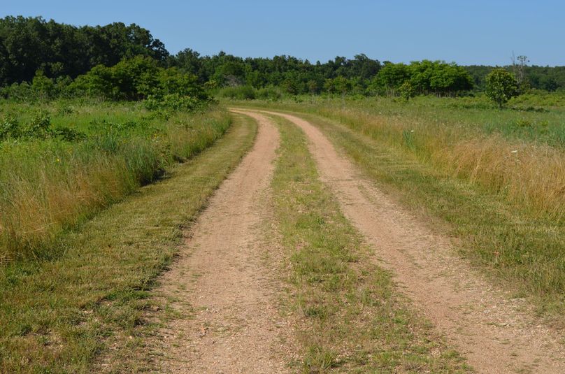 Xtreme whitetail 025