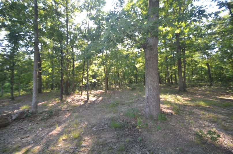 Xtreme whitetail 162